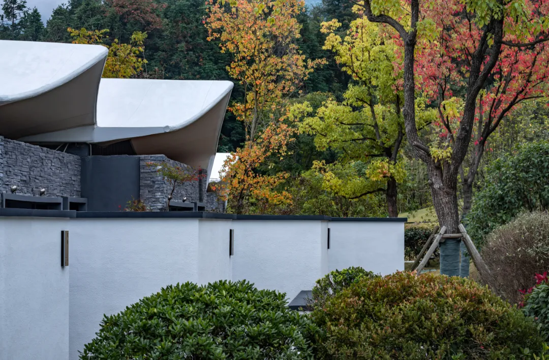 1734663133446357.jpg 1734663084740.jpg