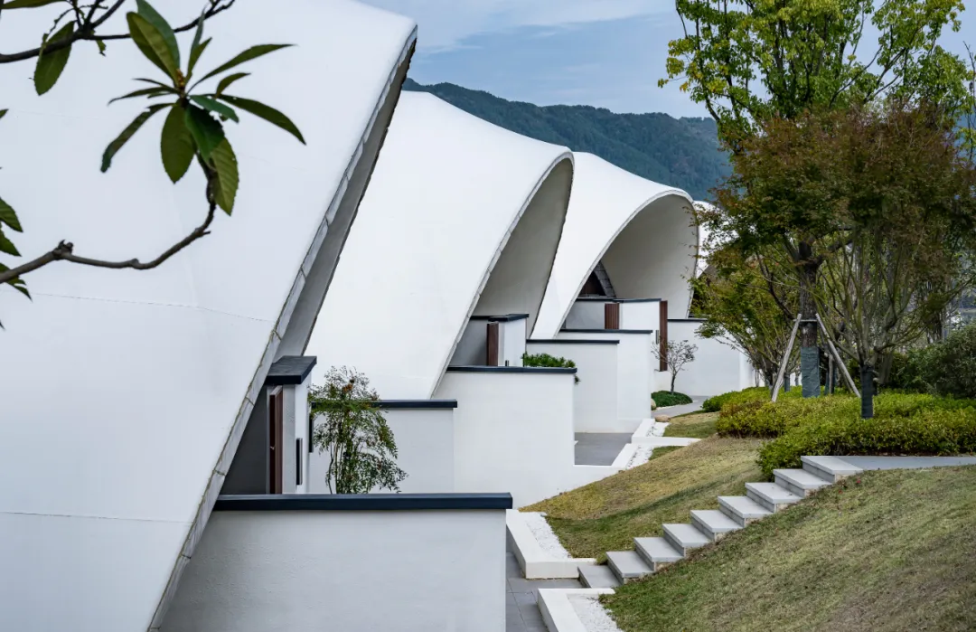 1734663137512708.jpg 1734663086890.jpg