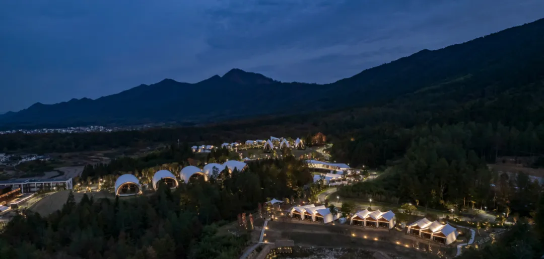 1734663209818297.jpg 1734663161065.jpg