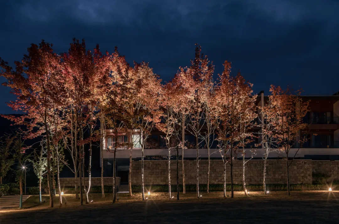 1734663219667565.jpg 1734663165207.jpg