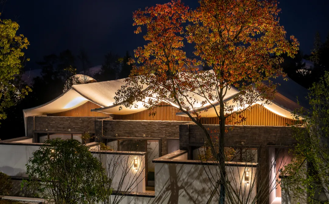 1734663235180093.jpg 1734663176667.jpg