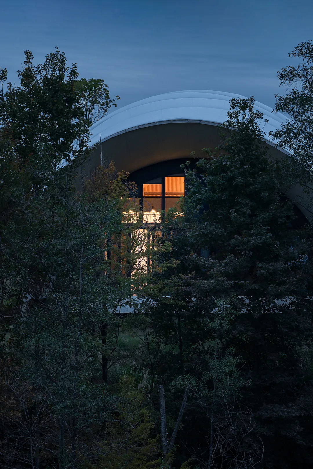 1734664210130549.jpg 1734664137027.jpg