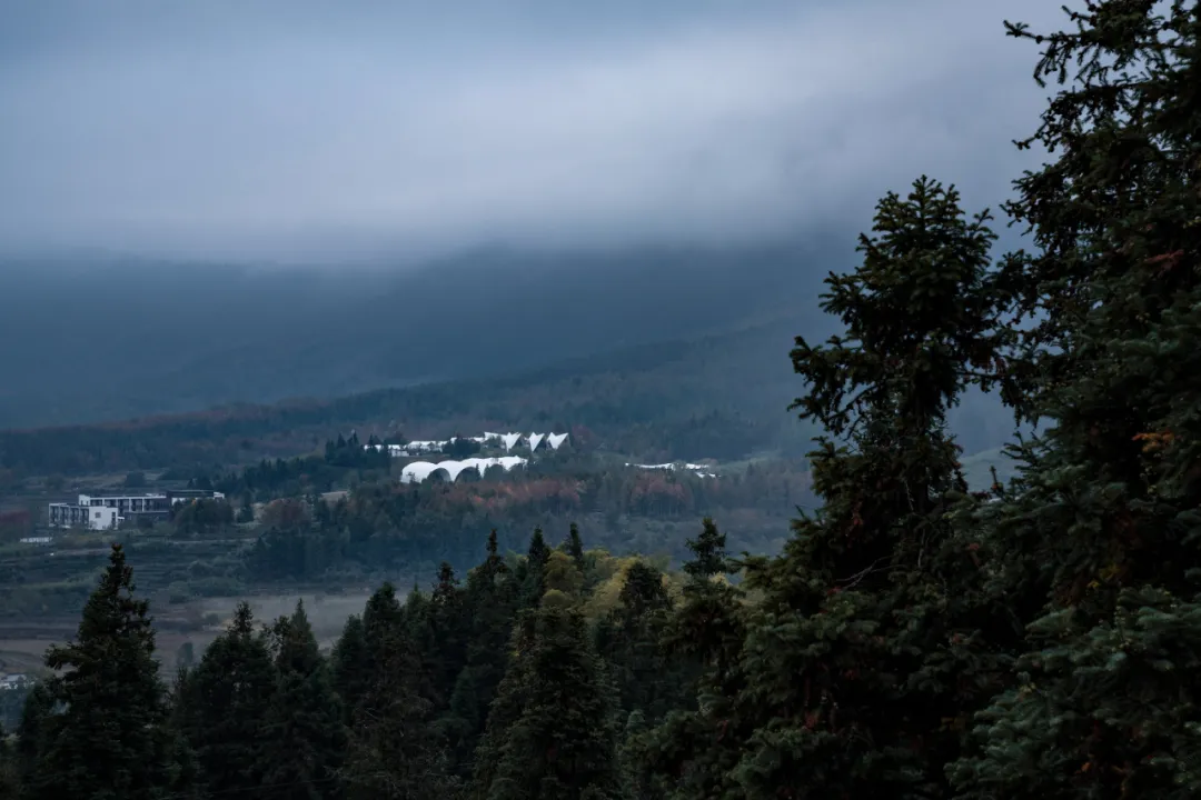 1734664226161288.jpg 1734664148295.jpg