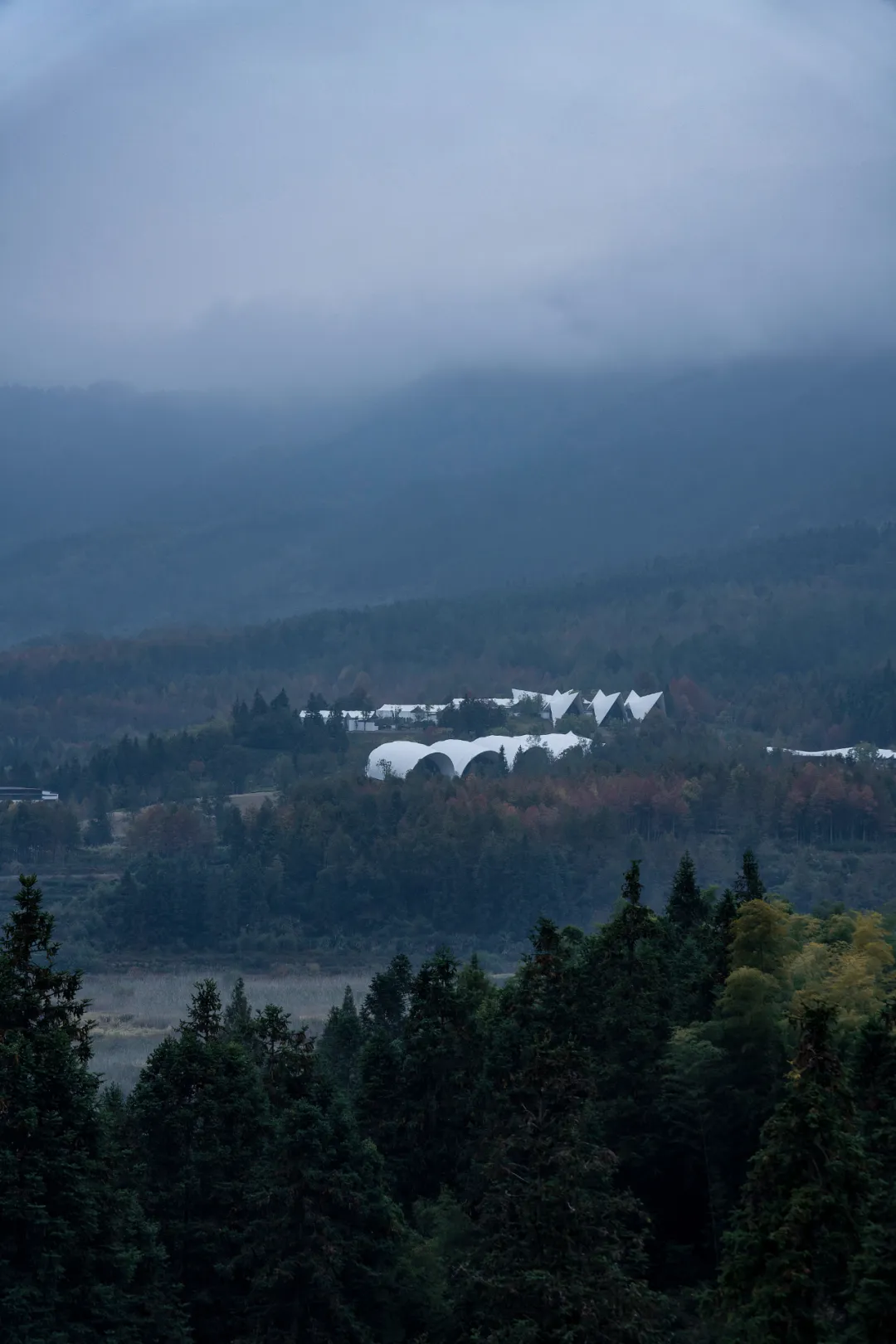 1734664233734948.jpg 1734664150477.jpg