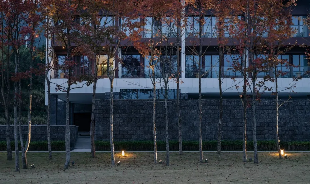 1734664243140308.jpg 1734664159370.jpg