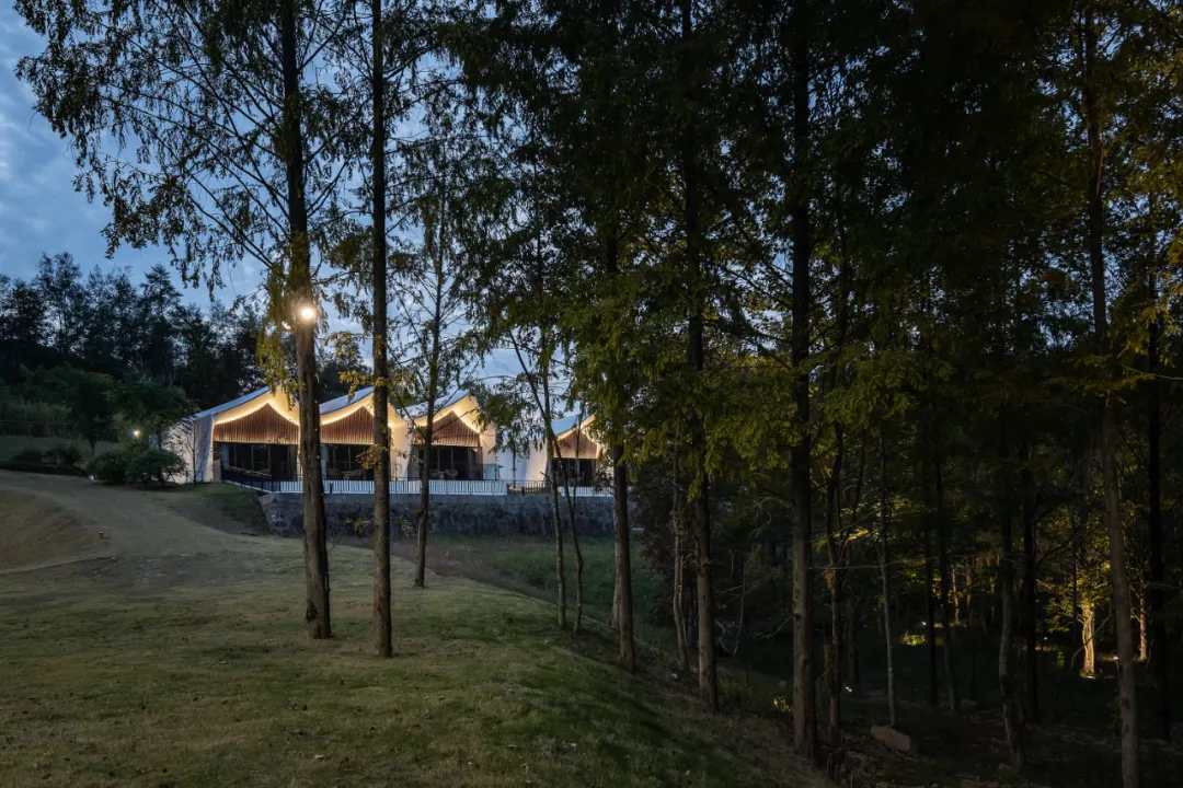 1734664248148025.jpg 1734664161948.jpg