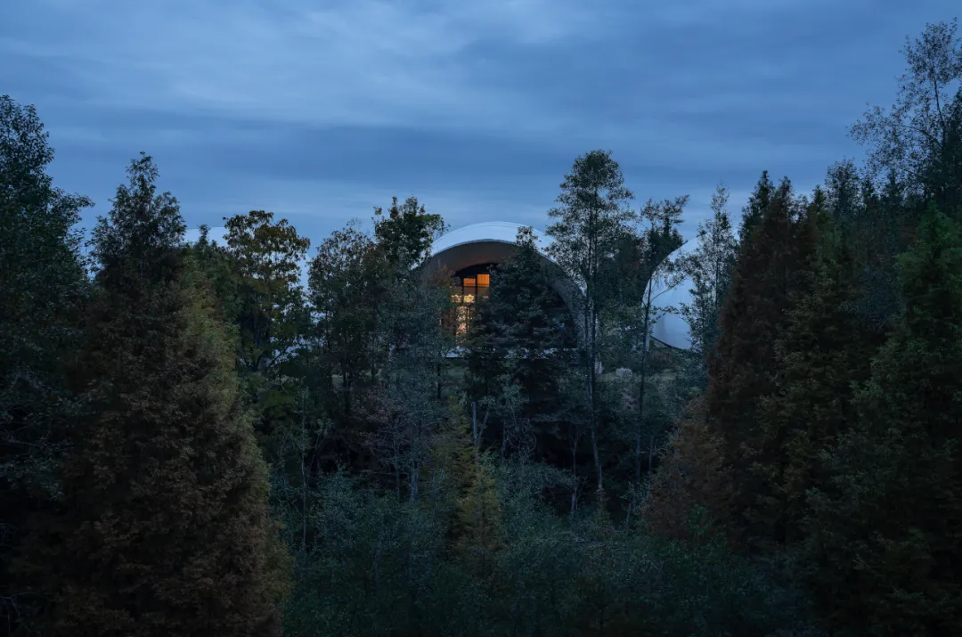 1734664258157863.jpg 1734664254201.jpg