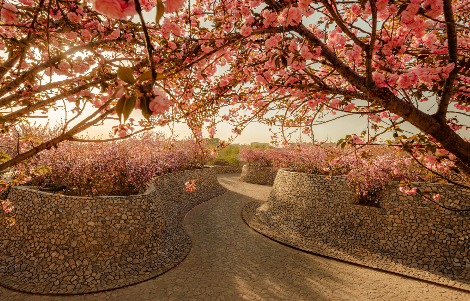 1734676554796195.png image.png