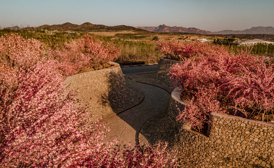 1734676575364864.jpg 1734676572661.jpg