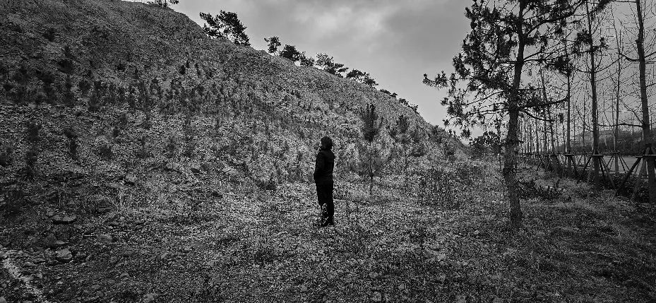 1734676674197734.png 70fe3b26bab2b4f66db35decdd9f4ad.png