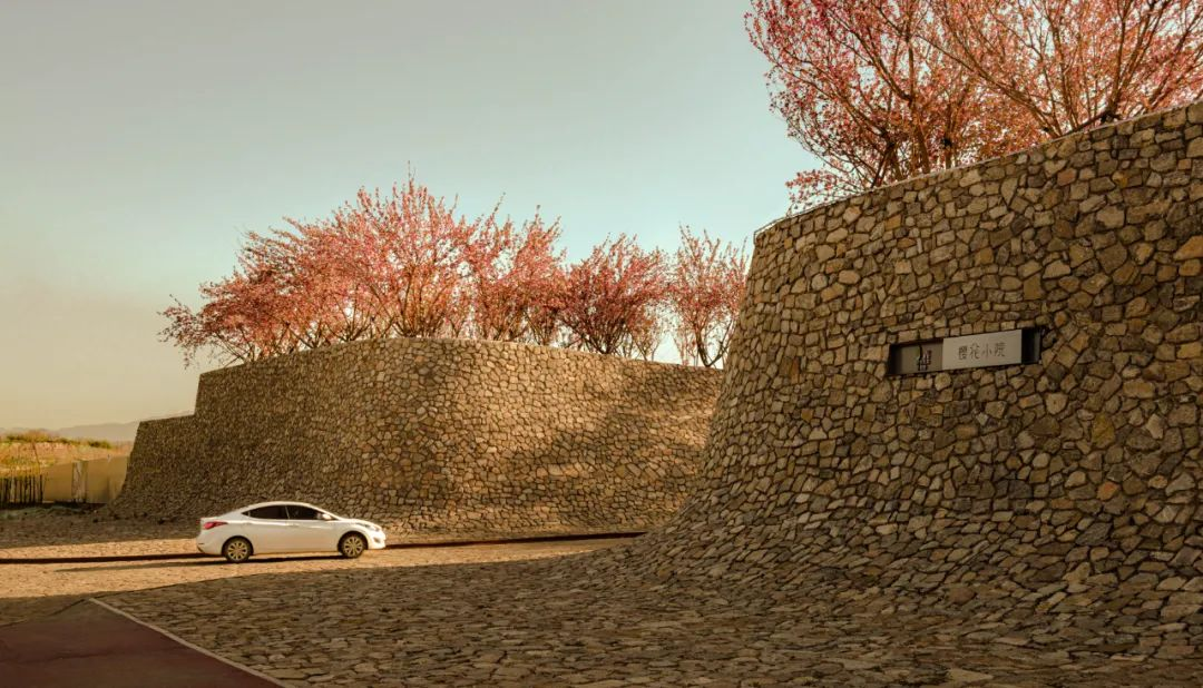 1734676756859968.jpg 1734676696003.jpg