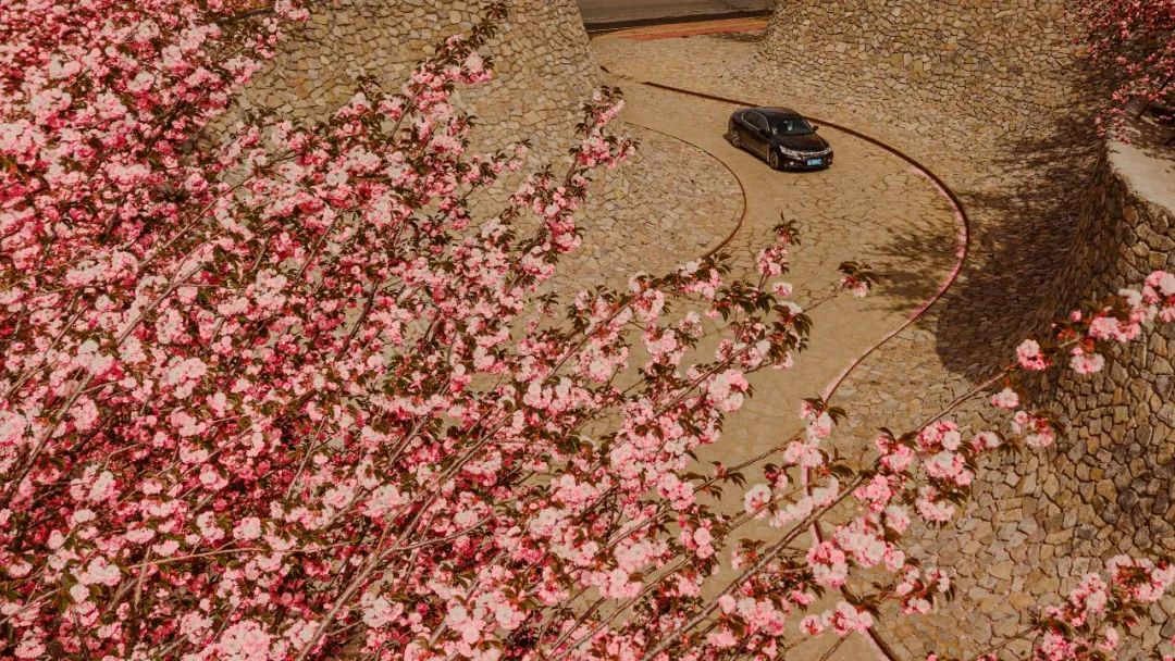 1734676763572277.jpg 1734676698566.jpg