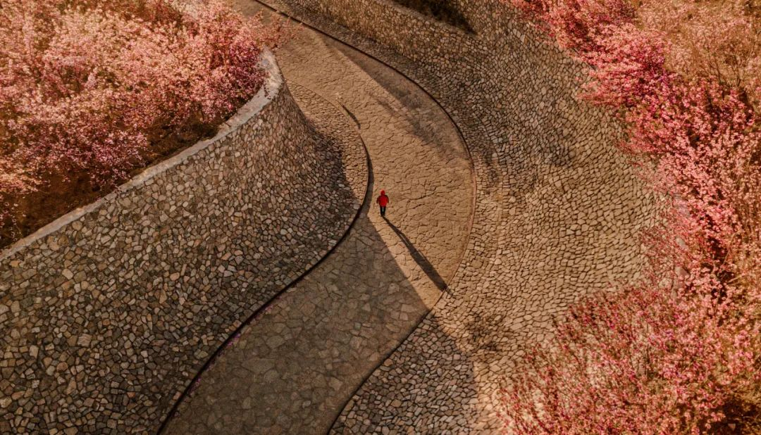 1734676768192887.jpg 1734676700547.jpg