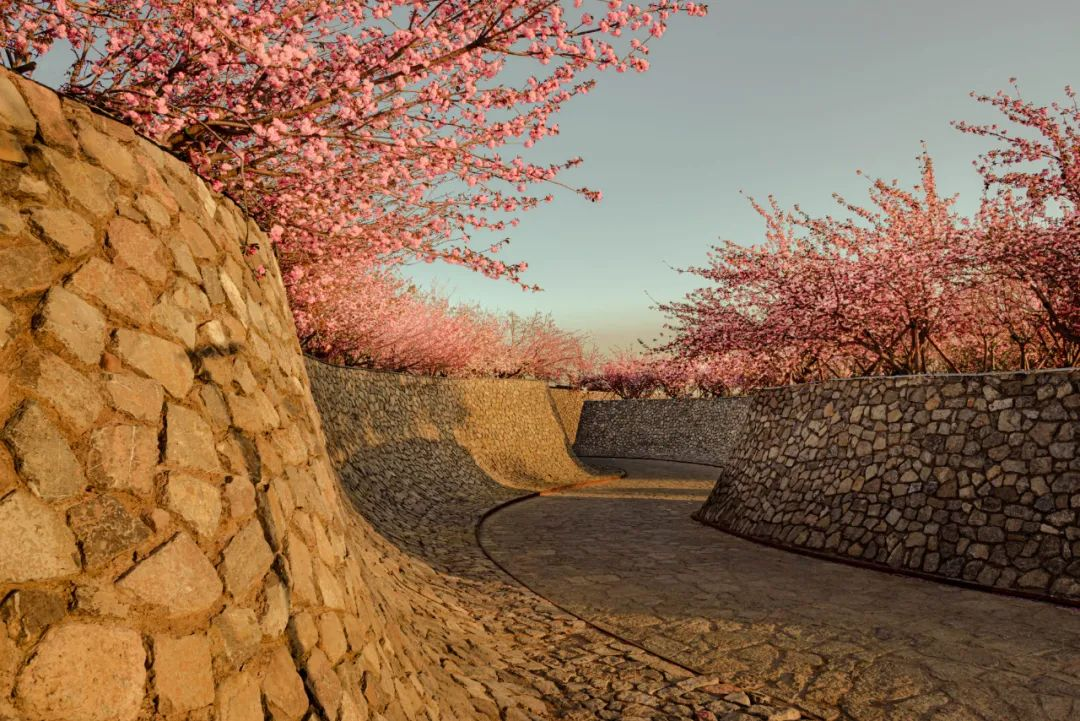 1734676931105065.jpg 1734676846182.jpg