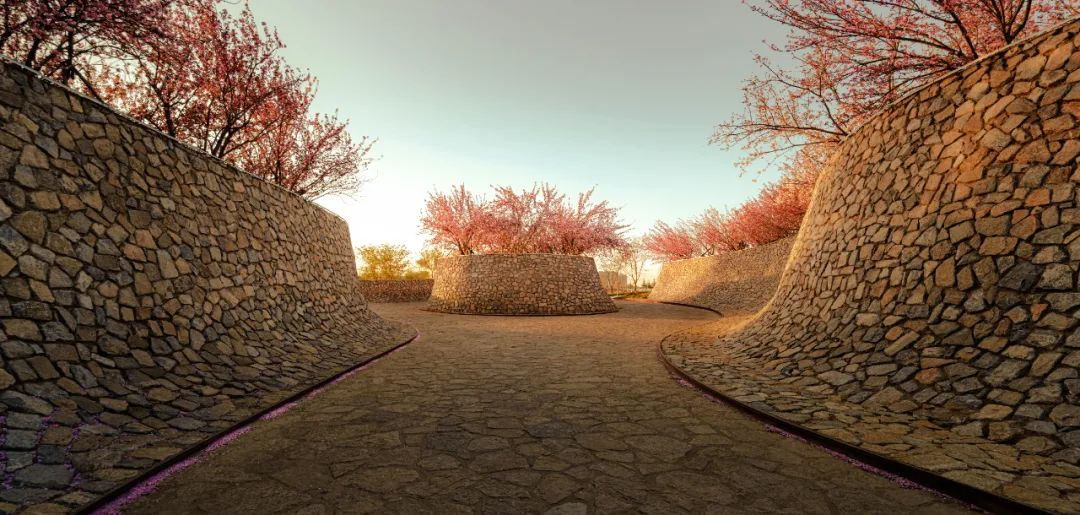 1734676935182461.jpg 1734676850171.jpg