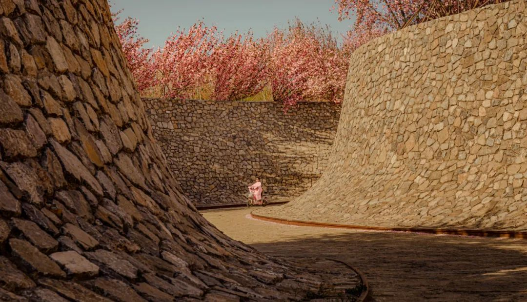 1734676940886484.jpg 1734676851801.jpg