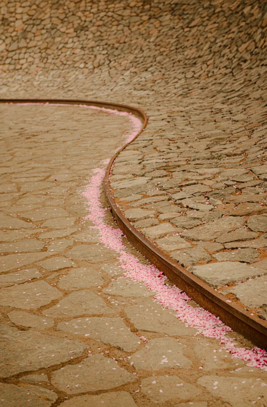 1734677068191398.jpg 1734676992252.jpg