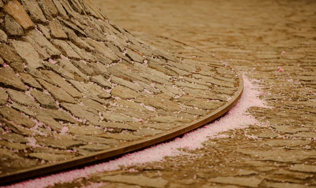 1734677075179325.jpg 1734676996910.jpg