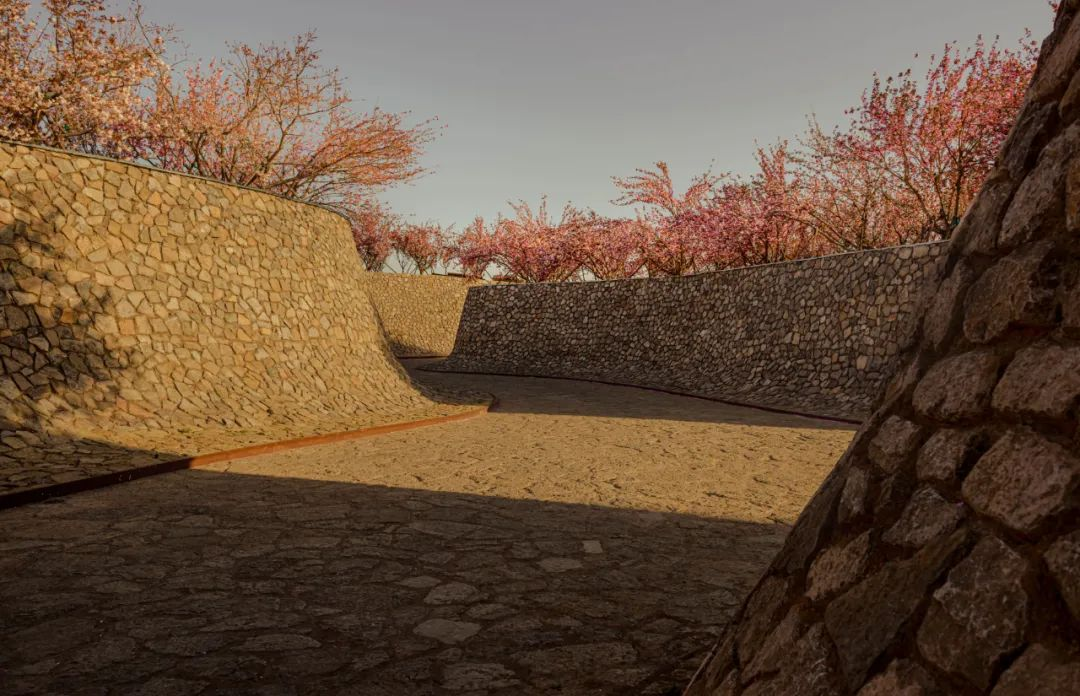 1734677167104377.jpg 1734677087149.jpg