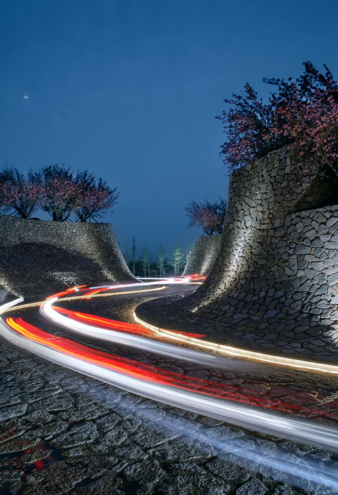 1734677226791528.jpg 1734677114157.jpg