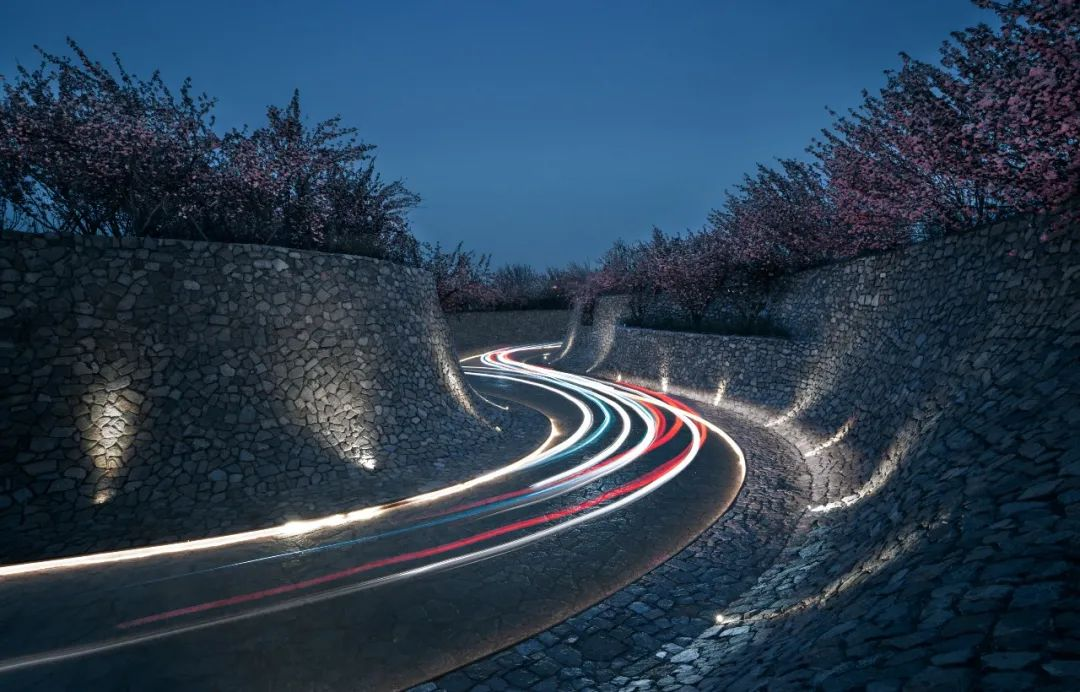 1734677277251484.jpg 1734677231827.jpg