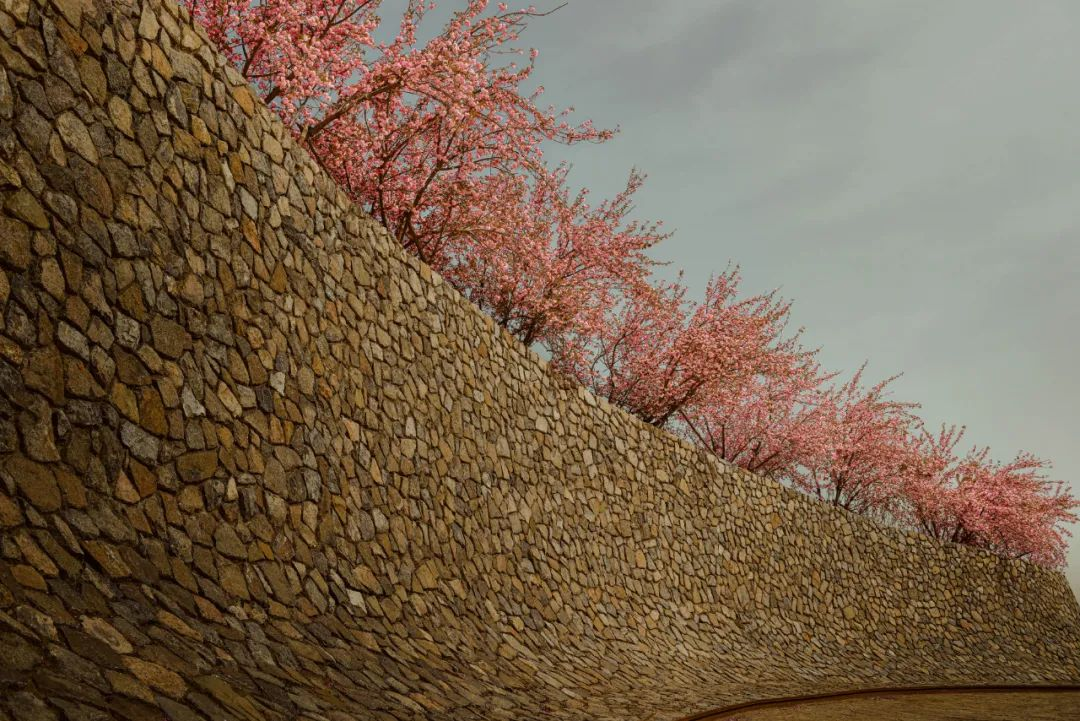 1734677308142633.jpg 1734677245468.jpg