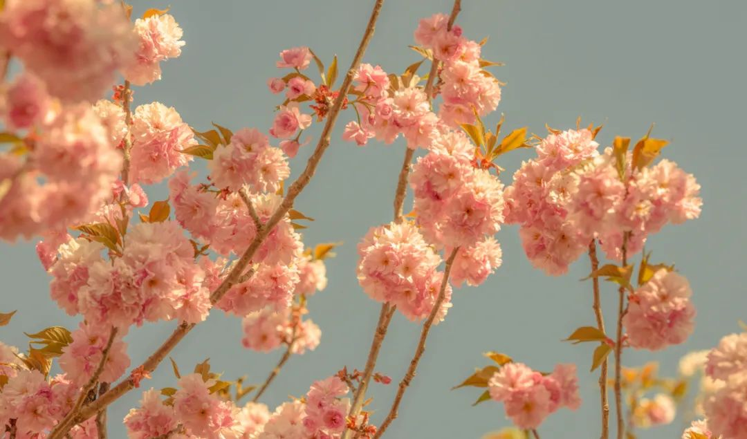 1734677318193975.jpg 1734677251910.jpg