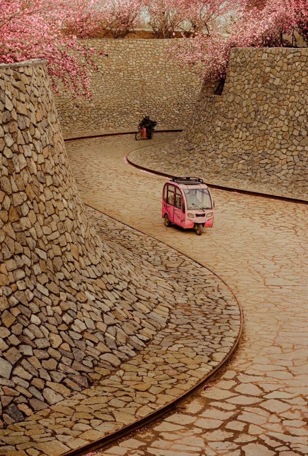 1734677333181095.jpg 1734677257434.jpg