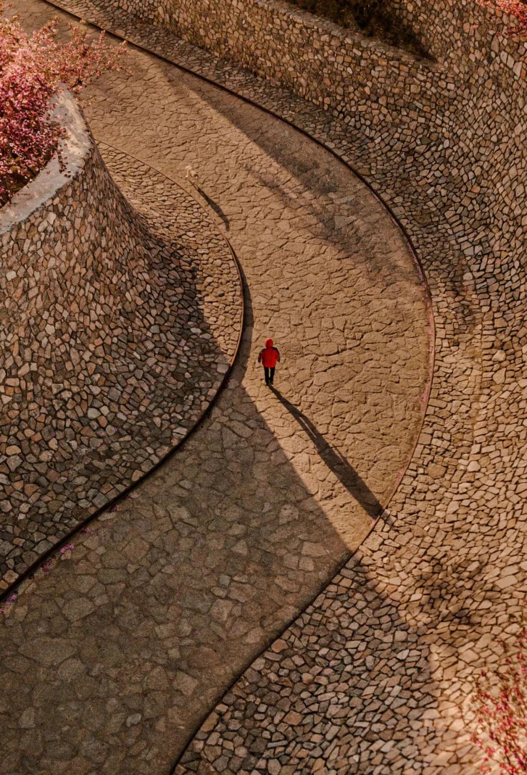 1734677360112428.jpg 1734677353372.jpg