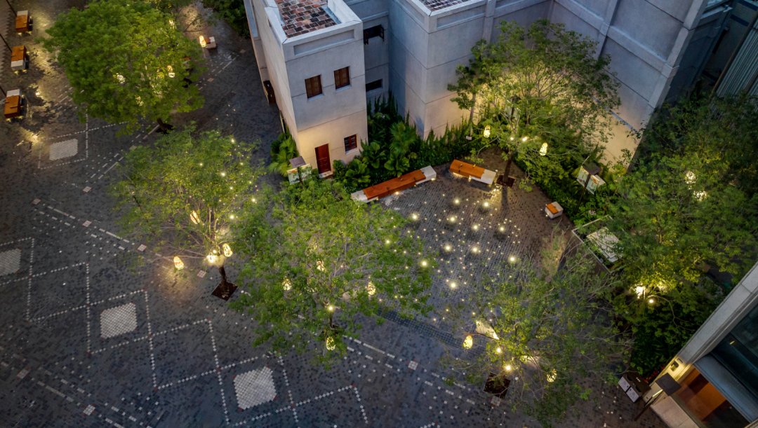 1734678894203276.jpg 1734678865147.jpg