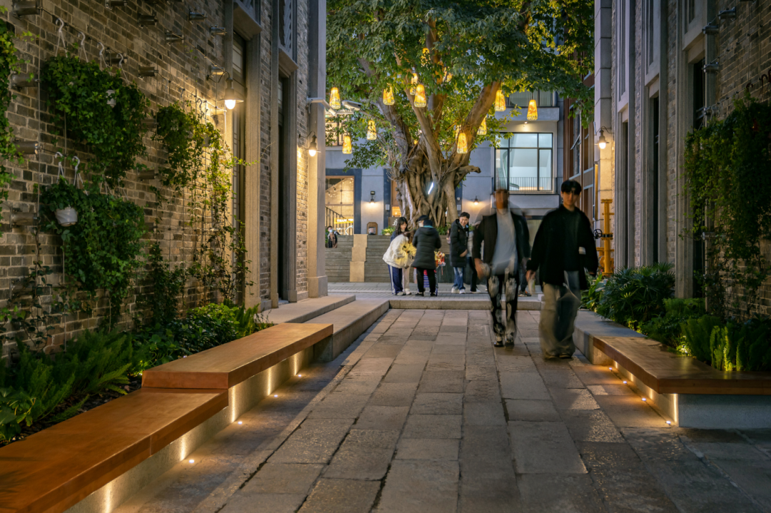 1734678913199920.jpg 1734678871402.jpg