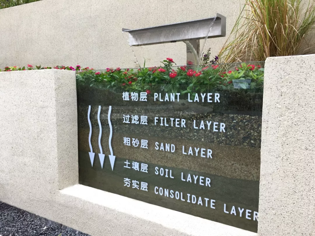 1734679360206088.jpg 1734679328496.jpg