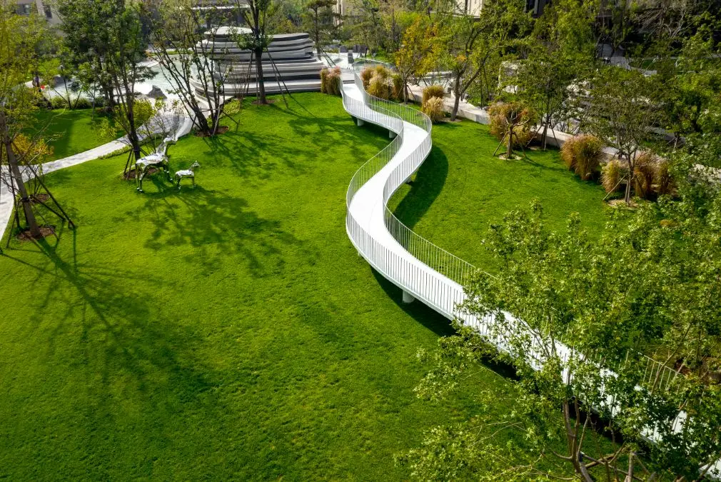 1734679368467183.jpg 1734679333873.jpg