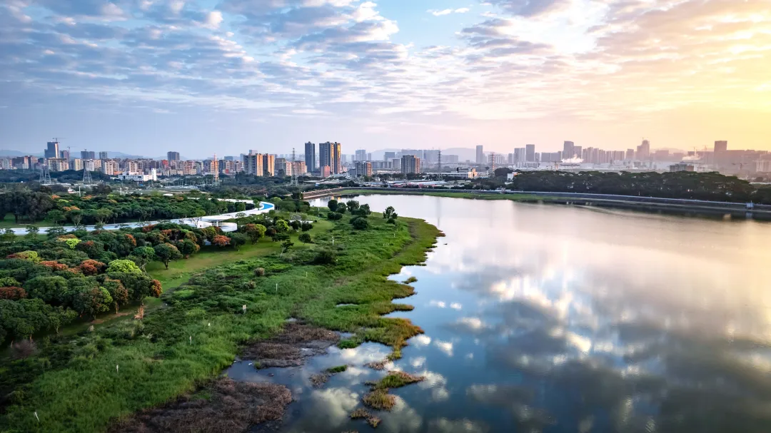 1734681108168497.png 986401753a821e2c339895f45728fda.png