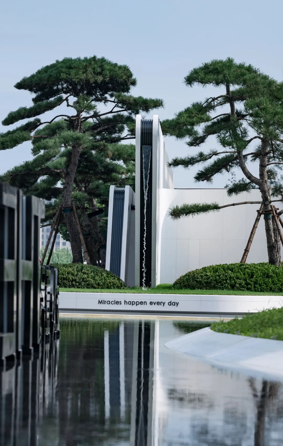 1734920174186049.jpg 1734920073598.jpg