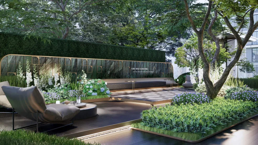 1734922054156335.jpg 1734922038055.jpg