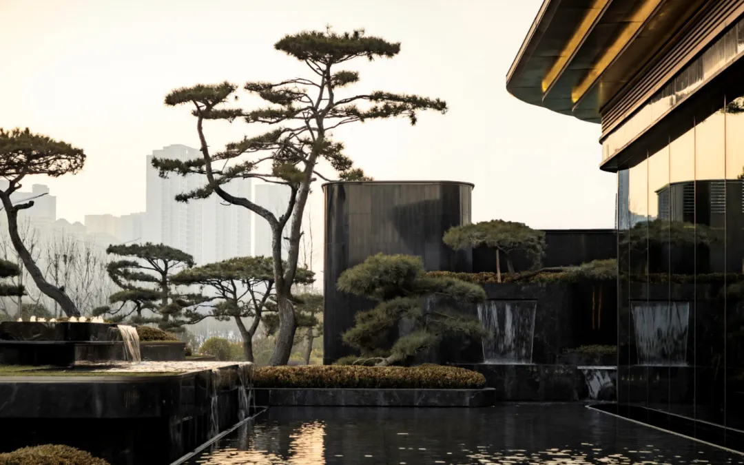 1734923022161066.jpg 1734922913503.jpg