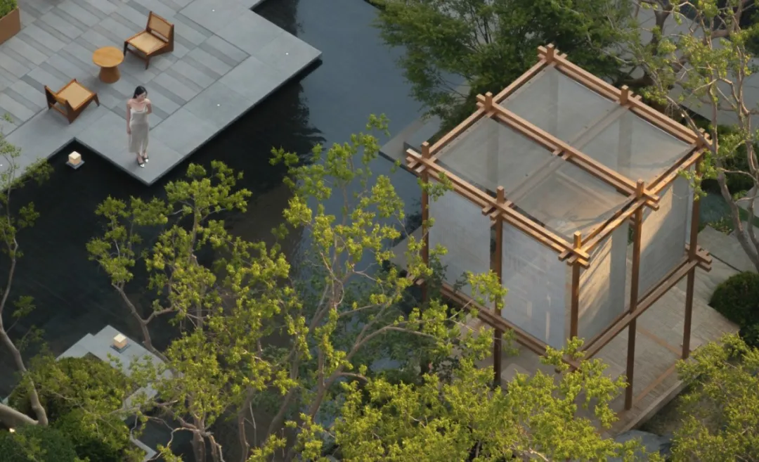 1734923129206354.jpg 1734923073358.jpg