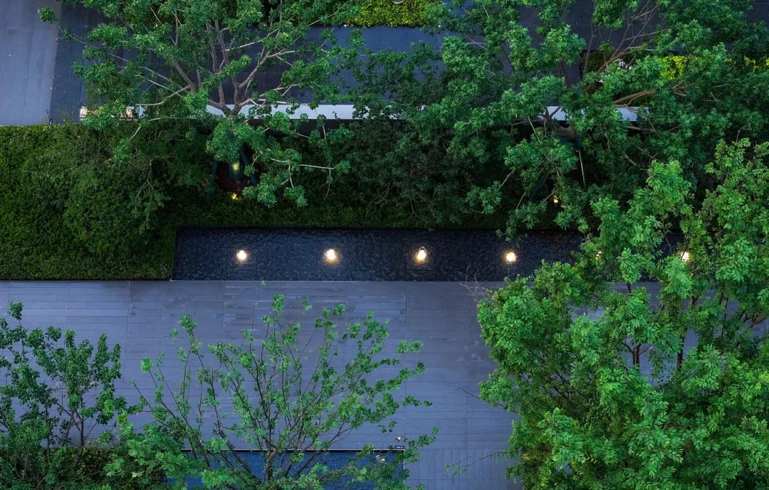 1734923169196308.jpg 1734923086462.jpg