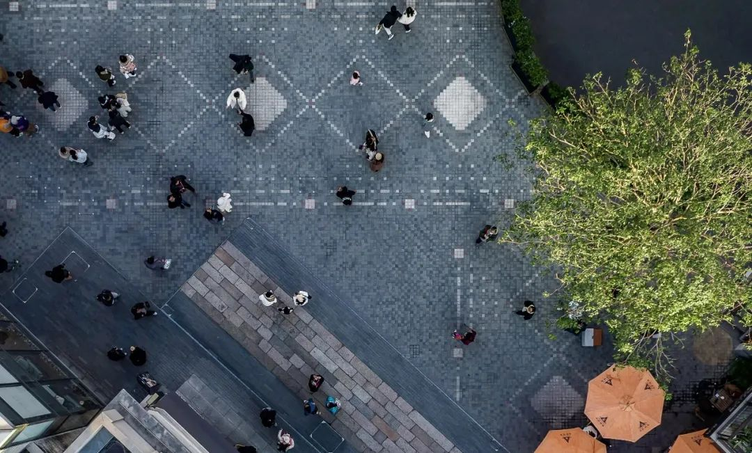 1734935466136794.jpg 1734935444195.jpg