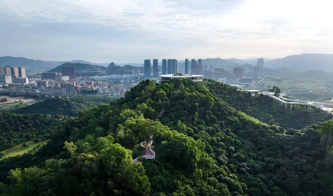 1734935479839071.jpg 1734935454558.jpg