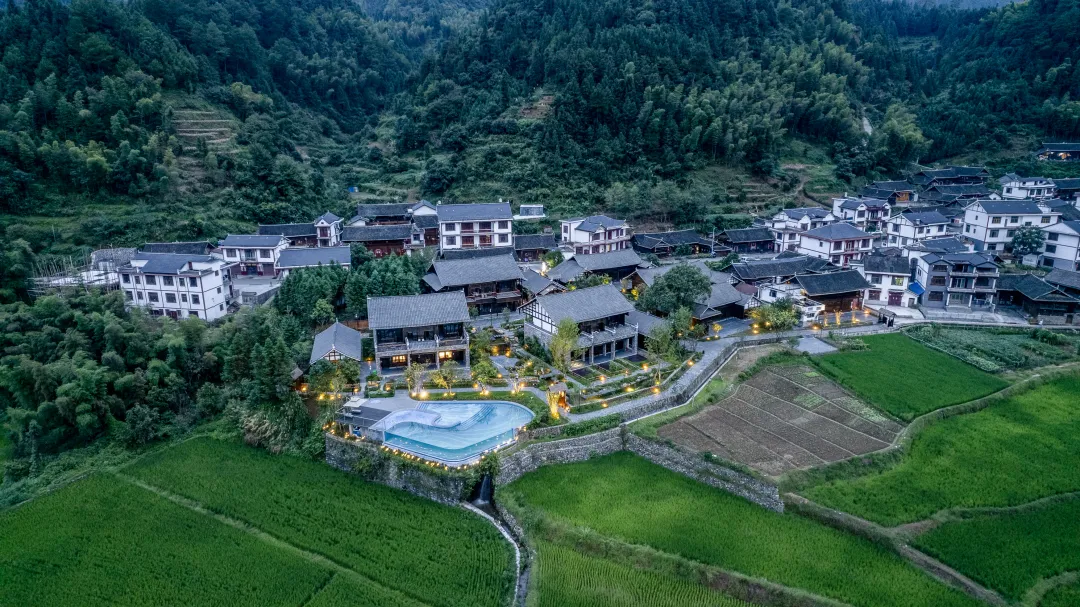 1734936839130039.jpg 1734936813703.jpg