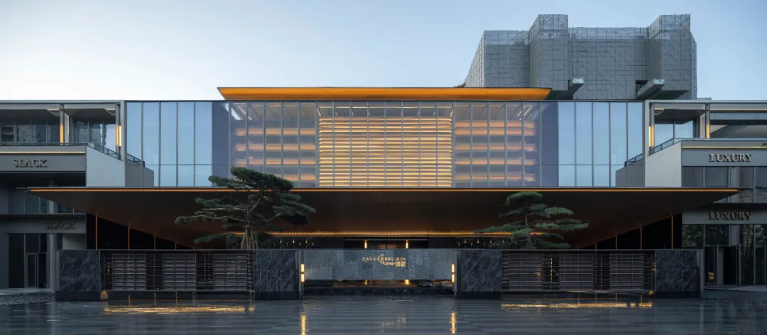 1734937415217312.jpg 1734937354566.jpg