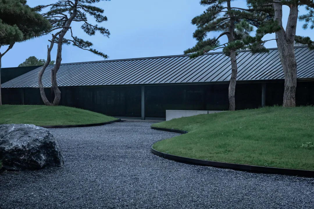 1735204491161544.jpg 1735204274027.jpg