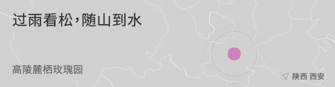 1735204504197945.jpg 1735204280750.jpg