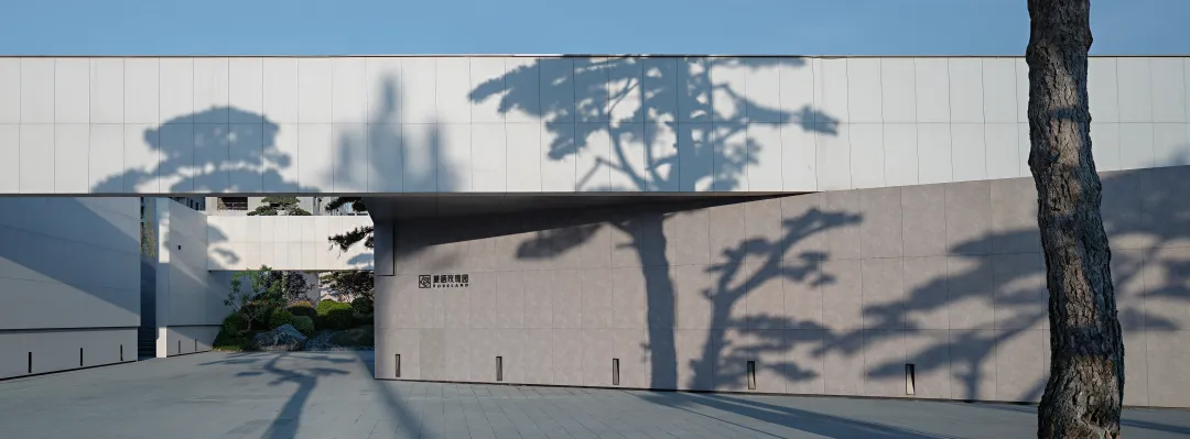 1735204912149070.jpg 1735204690956.jpg