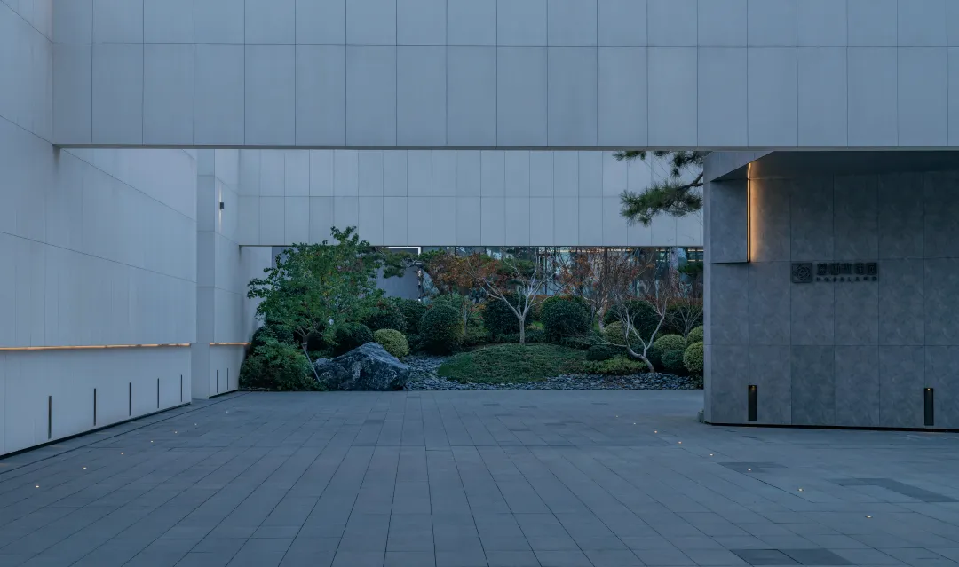 1735204928353514.jpg 1735204706170.jpg