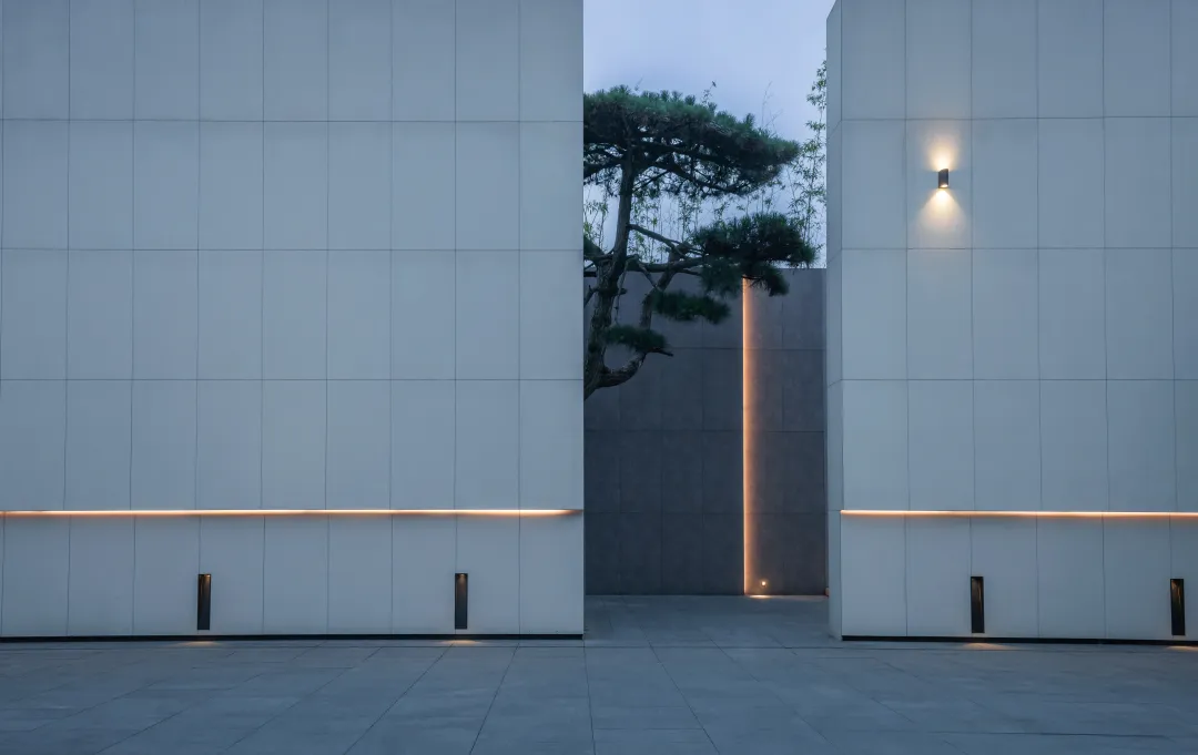 1735204935199963.jpg 1735204708797.jpg