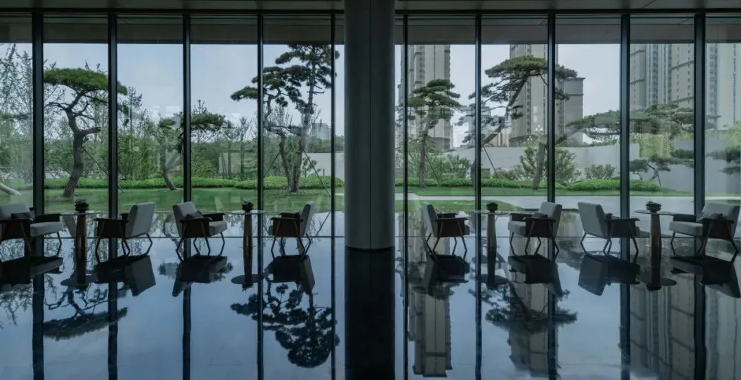 1735204959159718.jpg 1735204739212.jpg