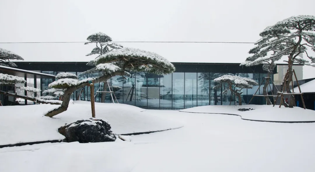 1735204966853470.jpg 1735204744358.jpg